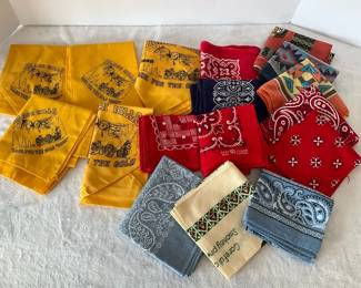 Navajo Kerchiefs More