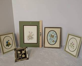 Miscellaneous Nature Prints