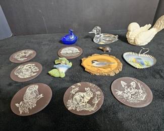 Bird Animal Collection