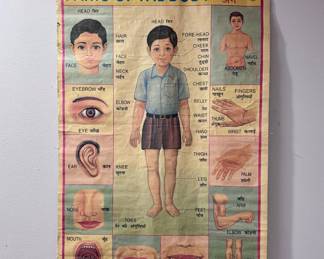 Vintage Medical Wall Chart