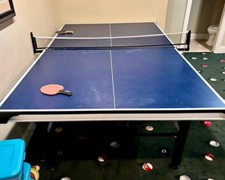 TIGA Table Tennis Table / Ping Pong Table