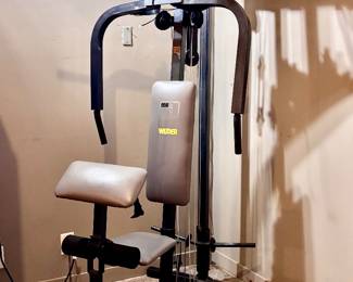 Wider Home Gym ( Located in building #2 on the property)