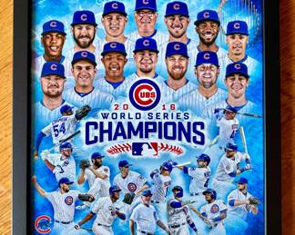 Cubs Sports Memorabilia