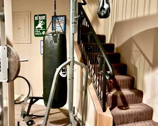 Combo Punching Bag and Speed Bag with Stand