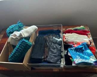 Womens Scarves, Gloves, And More