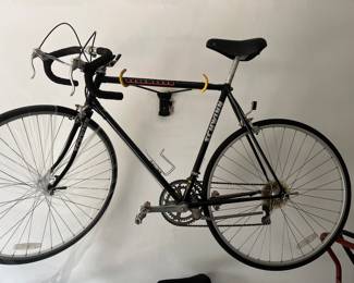 Schwinn World Sport 10 speed bike
$250
Other bikes available with flat tire tires for less, but not on site