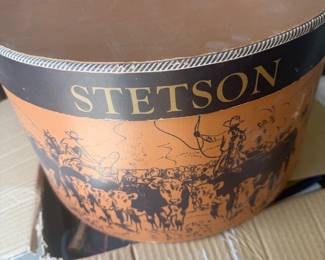 Stetson Cowboy hat in  Ranch Tan color