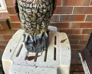 Owl decoy
