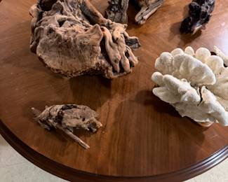 Mid Century Driftwood