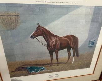 Kentucky Derby winner "Genuine Risk"