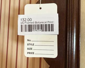 (A) Framed Botanical Print