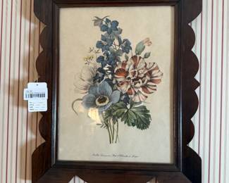 (A) Framed Botanical Print