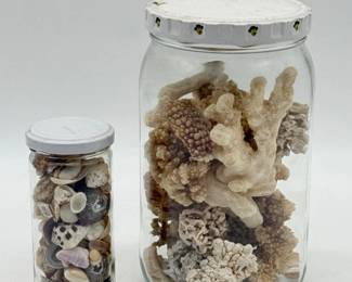 121 AssortedCoralsSeashellsinGlassJars