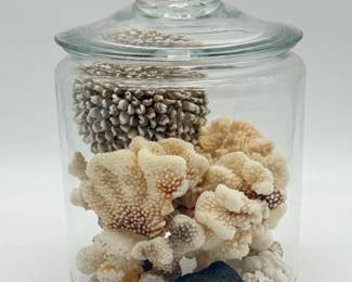 50 AssortedCoralsSeashellsinGlassJarwLid