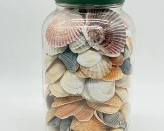 101 AssortedSeashellsinGlassJar