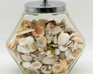 77 AssortedSeashellsinGlassJar