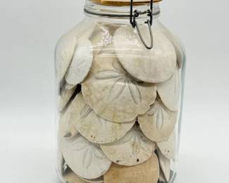 139 NaturalSandDollarsinGlassJar