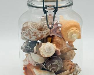 64 AssortedSeashellsinVintageVetridiFidenzaGlassCanningJar