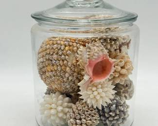 15 AssortedSeashellsinGlassJarwLid