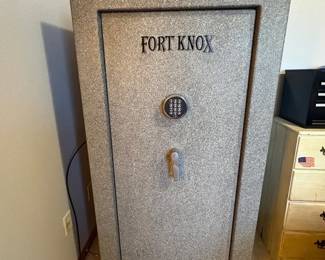  001 Fort Knox Defender 6031 Gun Safe