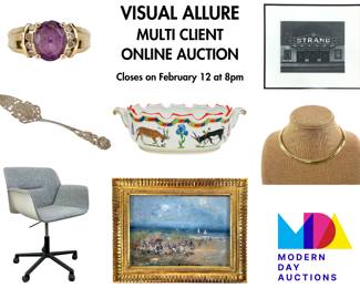 Visual Allure Multi Client