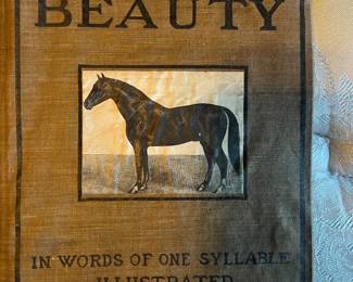 Black Beauty by Anna Sewell 1905 edition published by The Saalfield Publishing Company