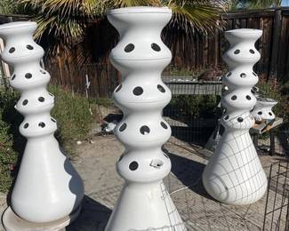 lettuce grow hydropnic gardening