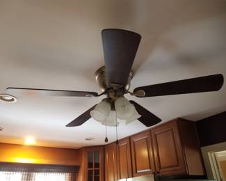 Lighted ceiling fan
