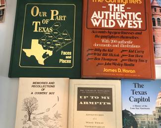 Nice western books