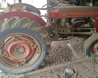Massey Ferguson - project tractor