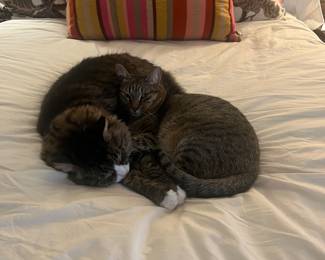 Leo and Frankie(not for sale)❤️❤️