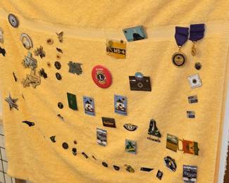 Lions Club Pins