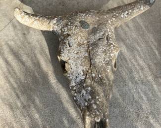 Concrete steer's scull