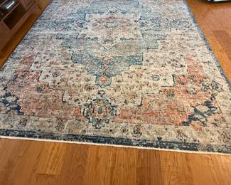 8’ x 10 multicolor area rug
