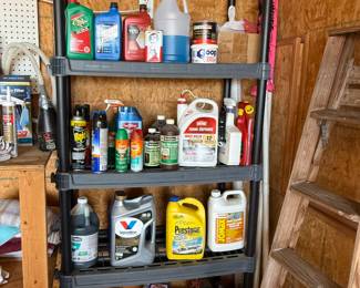 GARAGE MISC - OIL, BUG SPRAY, ETC