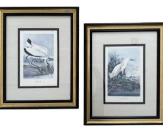 Framed Wood Ibis  Snowy Heron Prints By John James Audubon