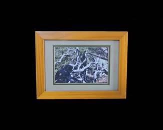 Framed Photograph of Gnarled Tree Branches