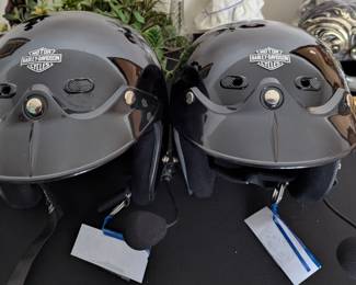 HARLEY DAVIDSON HELMETS & MIKES