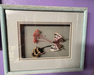 Framed Marpesia Crethon and Graphium Aristeus with Dried Flowers Display
