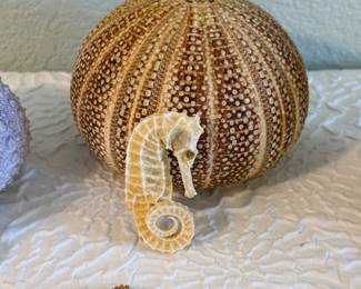 Lot #40 Coastal Sea Life Décor Collection – Sea Urchin Shells, Seahorses & Starfish