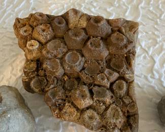 Lot #49 Vintage Shell & Stone Jewelry with Natural Mineral Specimens – Estate Collection