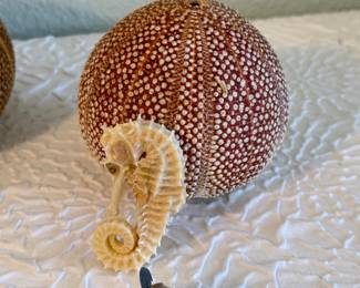 Lot #40 Coastal Sea Life Décor Collection – Sea Urchin Shells, Seahorses & Starfish