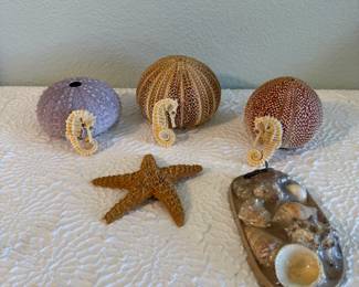Lot #40 Coastal Sea Life Décor Collection – Sea Urchin Shells, Seahorses & Starfish