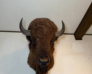 UlAmuIia4pmRfe15 Jvc5cB