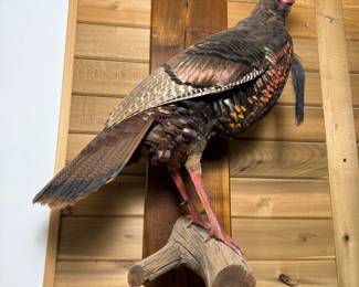 LnXbFhUNH1HIPnkjaM zp8Xy