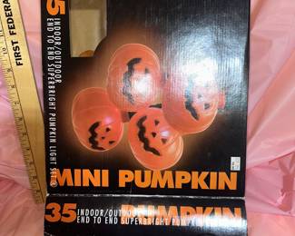 Mini Pumpkin Lights $3.00