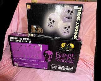 Halloween Decorative Lights $8.00