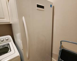 Standing Freezer