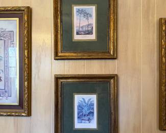 Horto Van Houtteano botanical prints