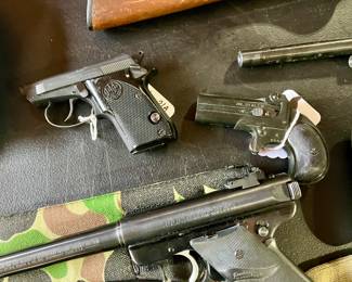 Beretta 21A
Derringer SLLR
Ruger Mark II Target